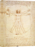 Vitruvian Man, c.1492 giclee art print