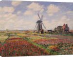 Tulip Fields with the Rijnsburg Windmill, 1886 giclee art print