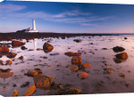 St Mary's lighthouse, over rocky shoreline giclee art print