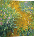 The Path in the Iris Garden giclee art print