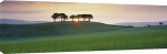 Somerset Sunrise giclee art print