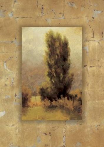 Soft Morning Light by Steve McGinty