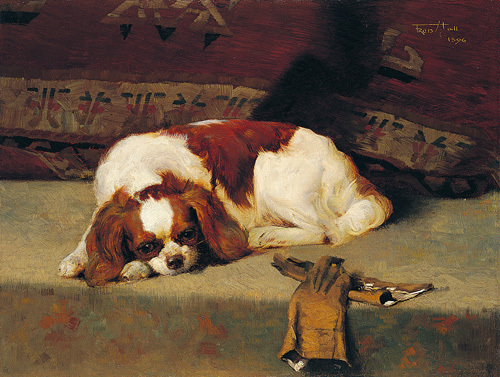 King Charles Spaniel Resting