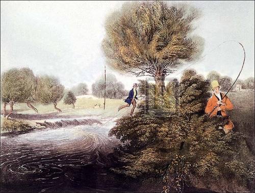 FlyFishing for trout by James Pollard