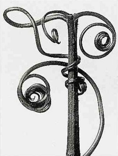 Kuerbisranke Pumpkin by Karl Blossfeldt