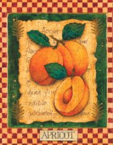 Apricot by Jan Pashley