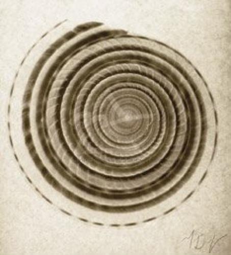 Sundial Shell by Mandolfo