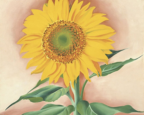 A Sunflower from Maggie, 1937 by Georgia O'Keeffe image