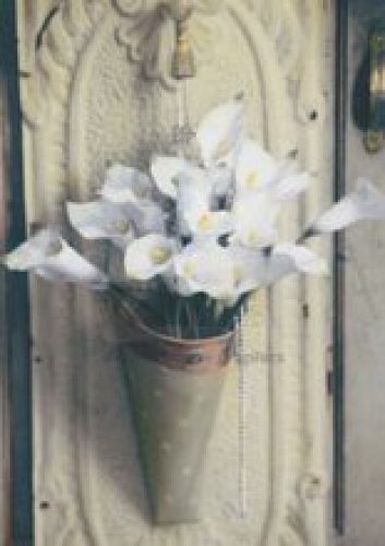 Calla Lilies by Addison Calla Lilies by Addison