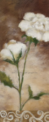 Spring Splendor by Balin