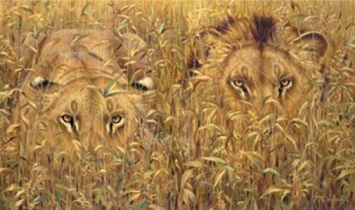 Four Eyes by Guy Coheleach