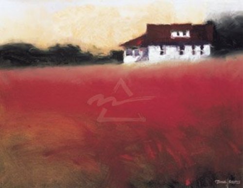Profile in Red by Stotts