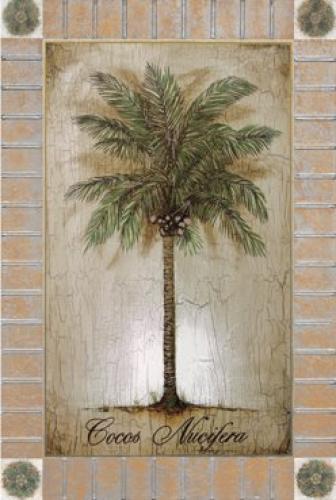 Cocos Nucifera by Sergio Bustamonte
