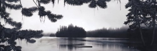 The Hideout by Madeleine Endo
