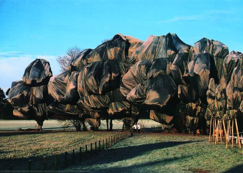 Wrapped Trees Nr 13 Riehen by Christo