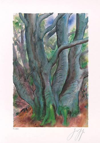 Baum I 2001 30 by Guenter Grass