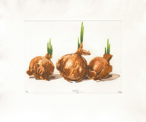 Zwiebeltrio 2000 by Robert C Rore