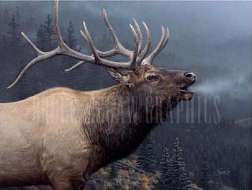 Call of Autumn by Daniell and Smith