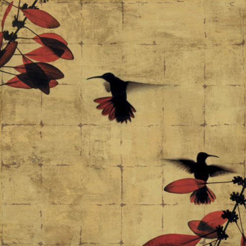 Colibri Donovan Height Highest Art