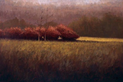 Young Maples by Simon Winegar