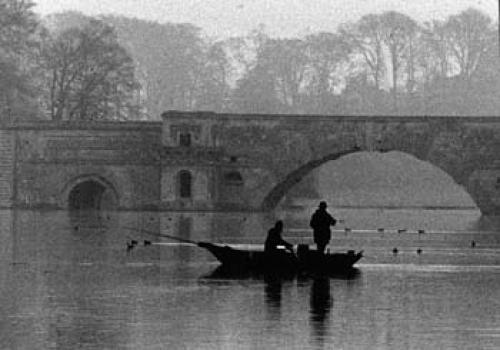 Fishing on Blenheim Lake Blenheim Park by David Dickinson