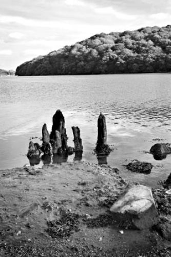 Restronguet Creek by Paul Warner