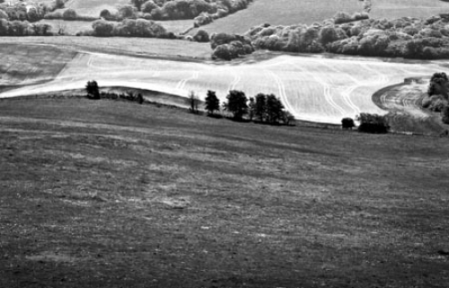 Road to Swanage by Paul Warner