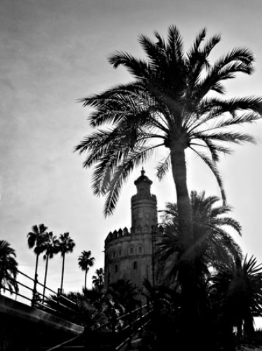 Seville Evening by Paul Warner