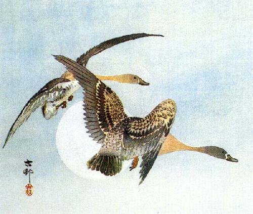On The Wing by Shoson