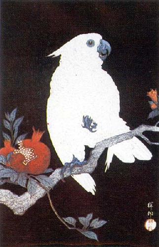UkiyoEParrot by Shoson