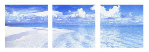 Paradise Shore Triptych by Erin Rafferty