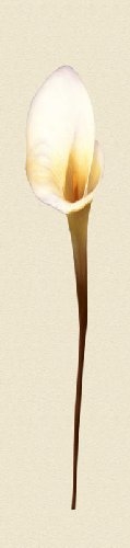 Simple Stem II by Erin Rafferty
