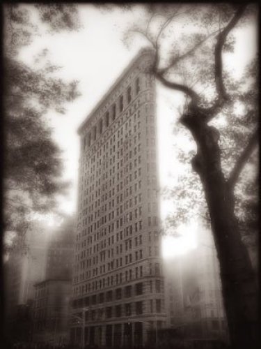 Flatiron New York by Sondra Wampler