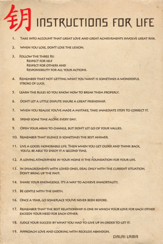 instructions for life. Instructions for lIfe (Dalai