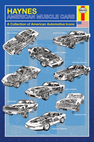 Haynes American Muscle Cars by Maxi Posters