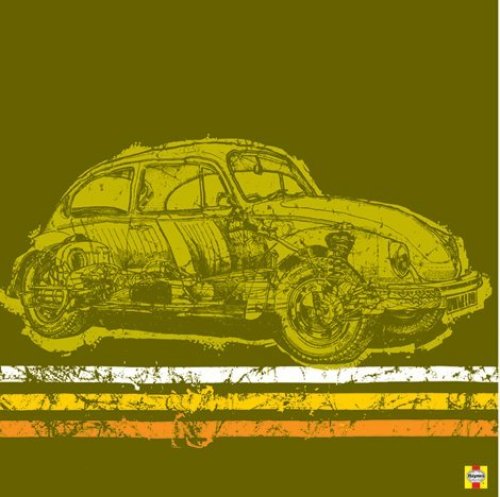 Beetle by Haynes