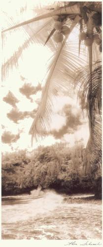 Equatorial Breeze II by Thea Schrack