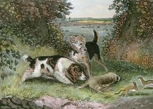 Poachers Disturbed Restrike Etching by John Frederick Lewis