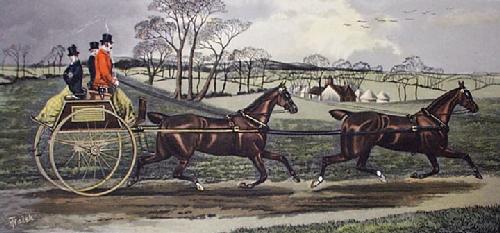 Spicy Team Restrike Etching by TNH Walsh