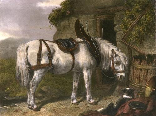 Scotch Cart Horse Restrike Etching by John Frederick Herring