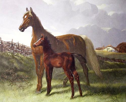 Thoroughbreds Mezzo Restrike Etching by John Frederick Herring