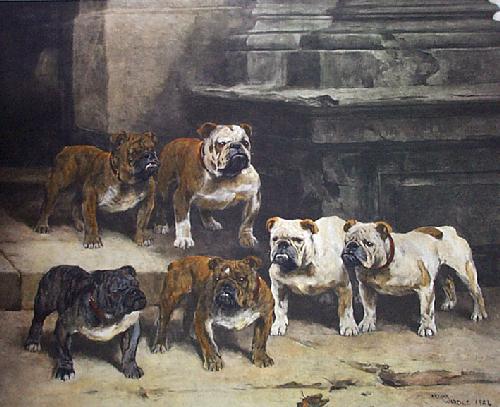 Modern Bulldogs Restrike Etching by Arthur Wardle
