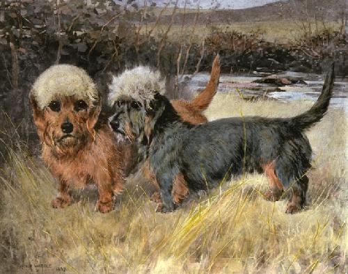 Dandies Champion Dandies Restrike Etching by Arthur Wardle