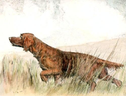 Irish Setter Restrike Etching by Ward Binks