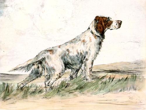 English Setter Restrike Etching by Ward Binks