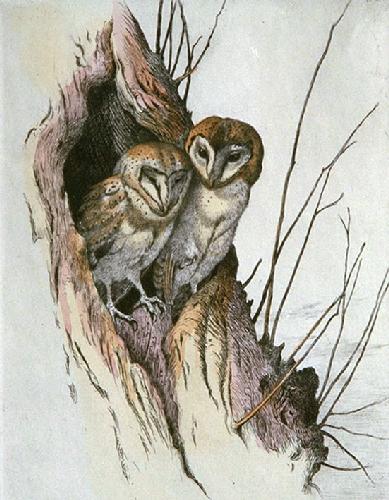 Barn Owls Restrike Etching by Winifred Austen