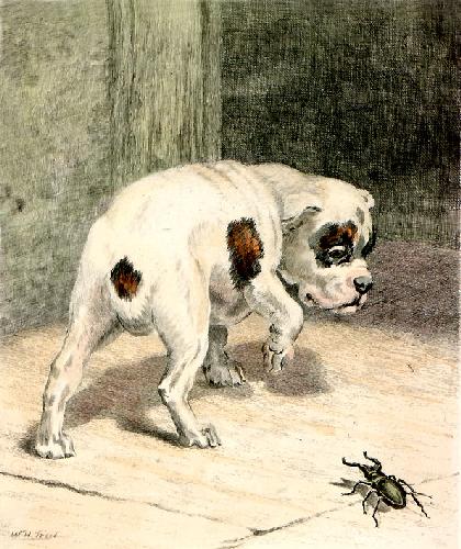 Oh What a Surprise Restrike Etching by William Henry Hamilton Trood