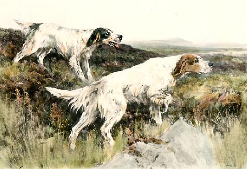 On the Moors Restrike Etching by Arthur Wardle