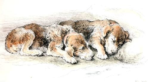 Airedale Puppies Restrike Etching by Herbert Thomas Dicksee