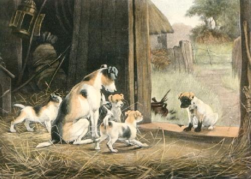 A Disgrace to his Family Restrike Etching by Stanley Berkeley